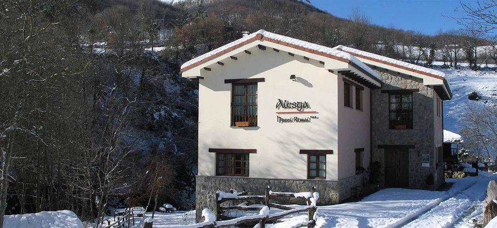Alesga Hotel Rural - Valles Del Oso -Asturias San Salvador  Buitenkant foto