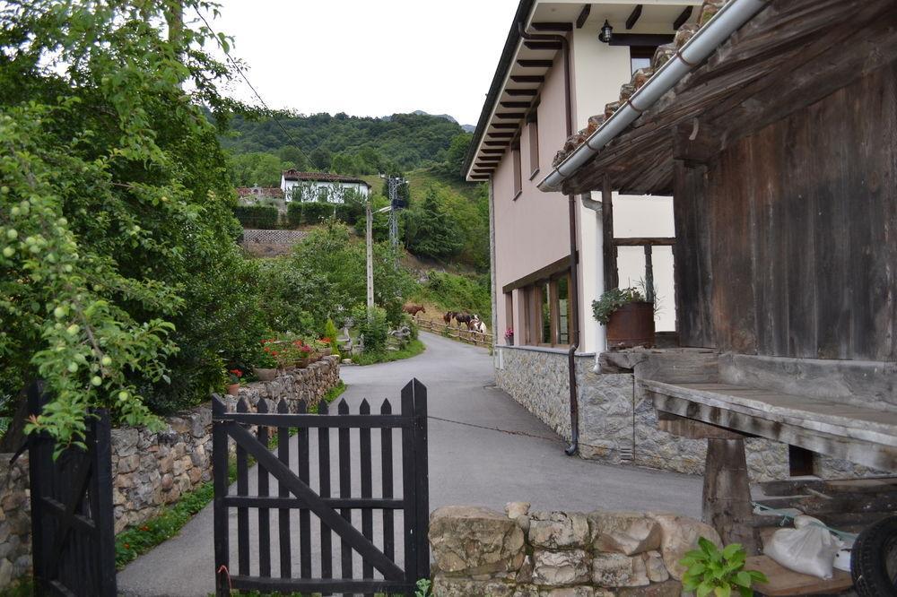 Alesga Hotel Rural - Valles Del Oso -Asturias San Salvador  Buitenkant foto
