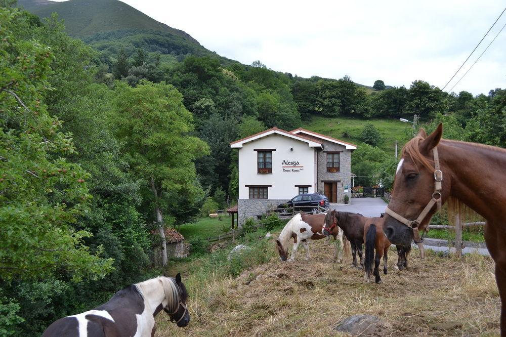 Alesga Hotel Rural - Valles Del Oso -Asturias San Salvador  Buitenkant foto