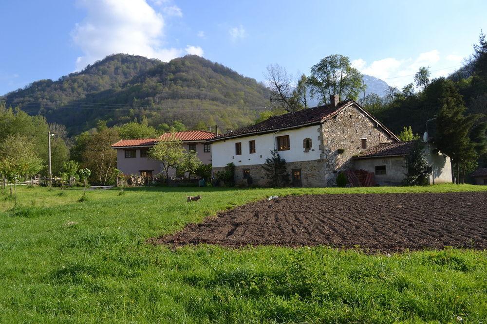 Alesga Hotel Rural - Valles Del Oso -Asturias San Salvador  Buitenkant foto