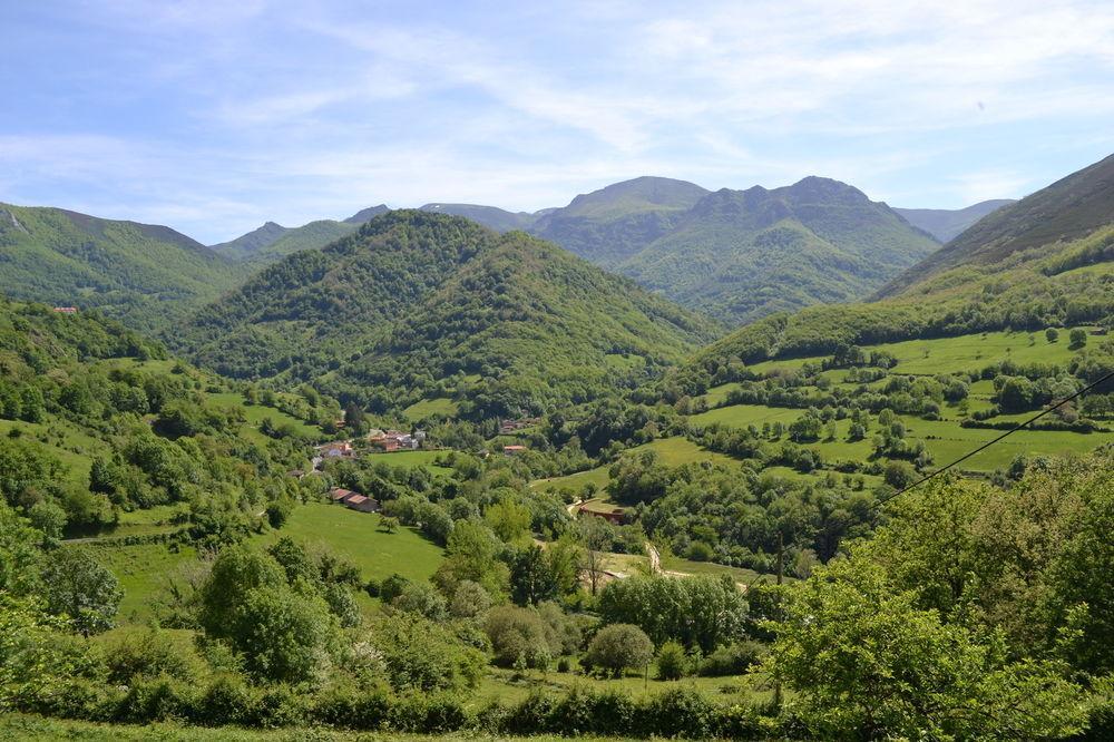 Alesga Hotel Rural - Valles Del Oso -Asturias San Salvador  Buitenkant foto