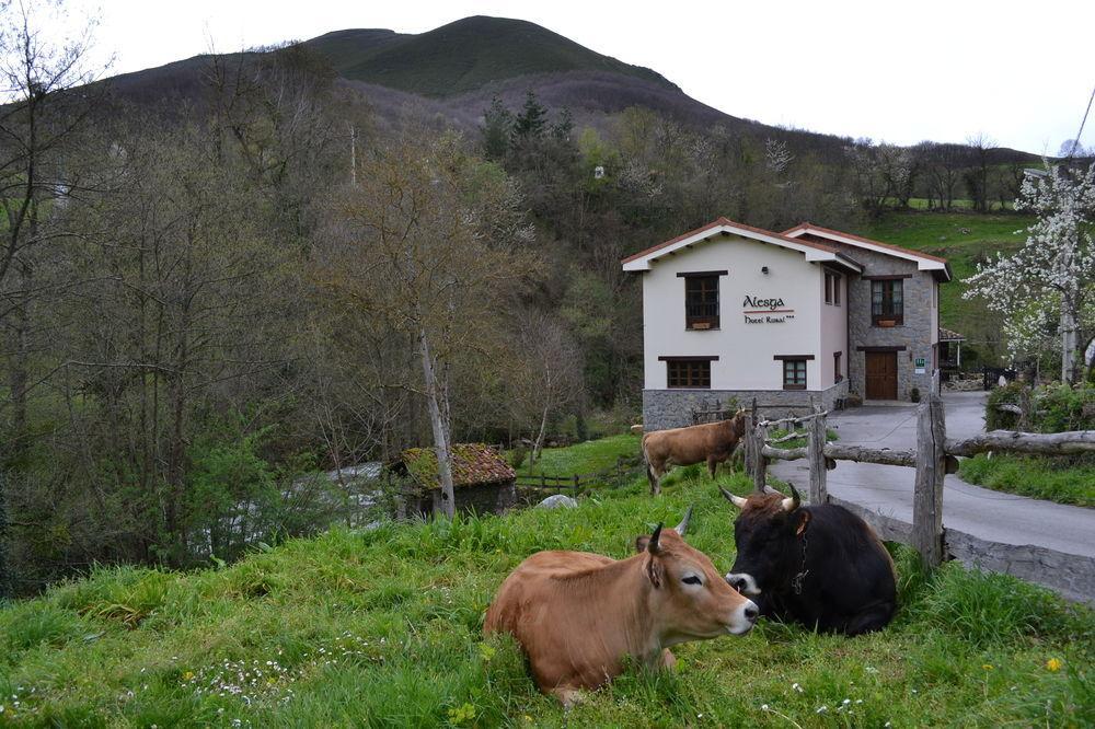 Alesga Hotel Rural - Valles Del Oso -Asturias San Salvador  Buitenkant foto