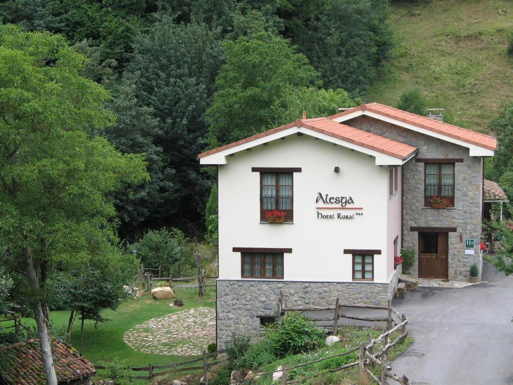 Alesga Hotel Rural - Valles Del Oso -Asturias San Salvador  Buitenkant foto