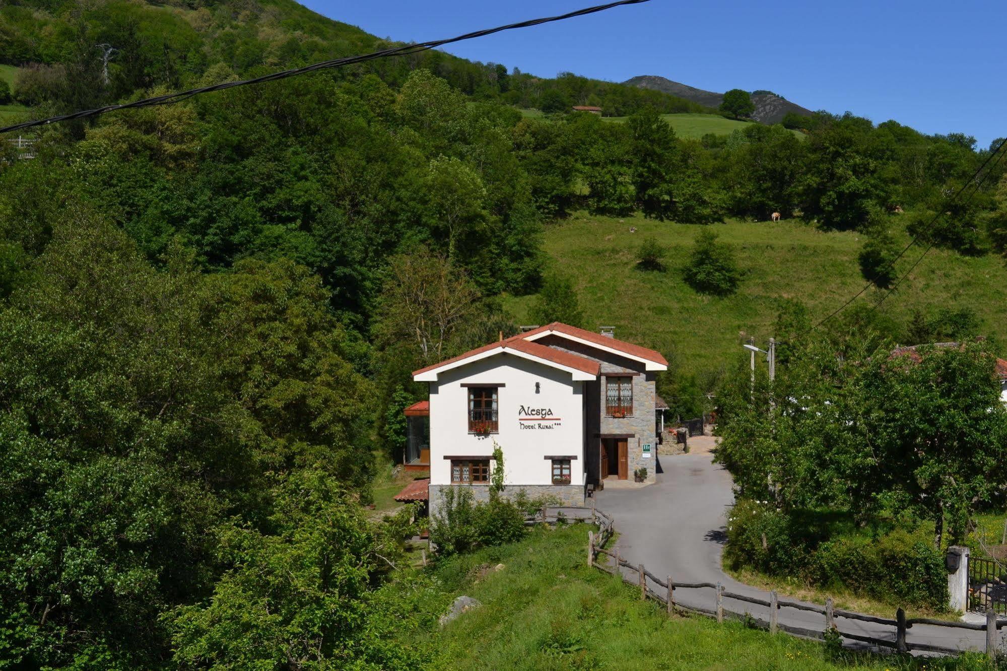 Alesga Hotel Rural - Valles Del Oso -Asturias San Salvador  Buitenkant foto