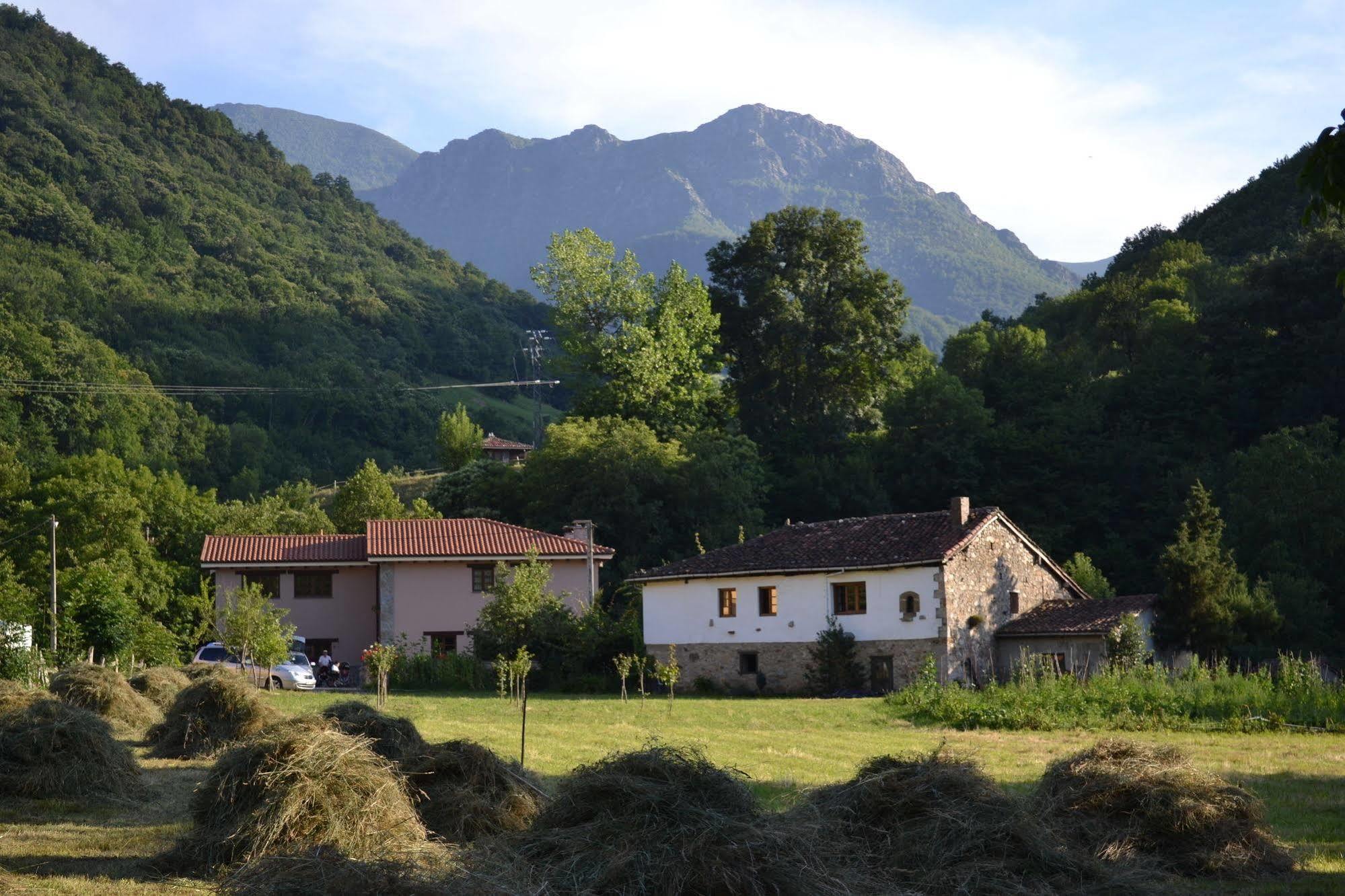 Alesga Hotel Rural - Valles Del Oso -Asturias San Salvador  Buitenkant foto