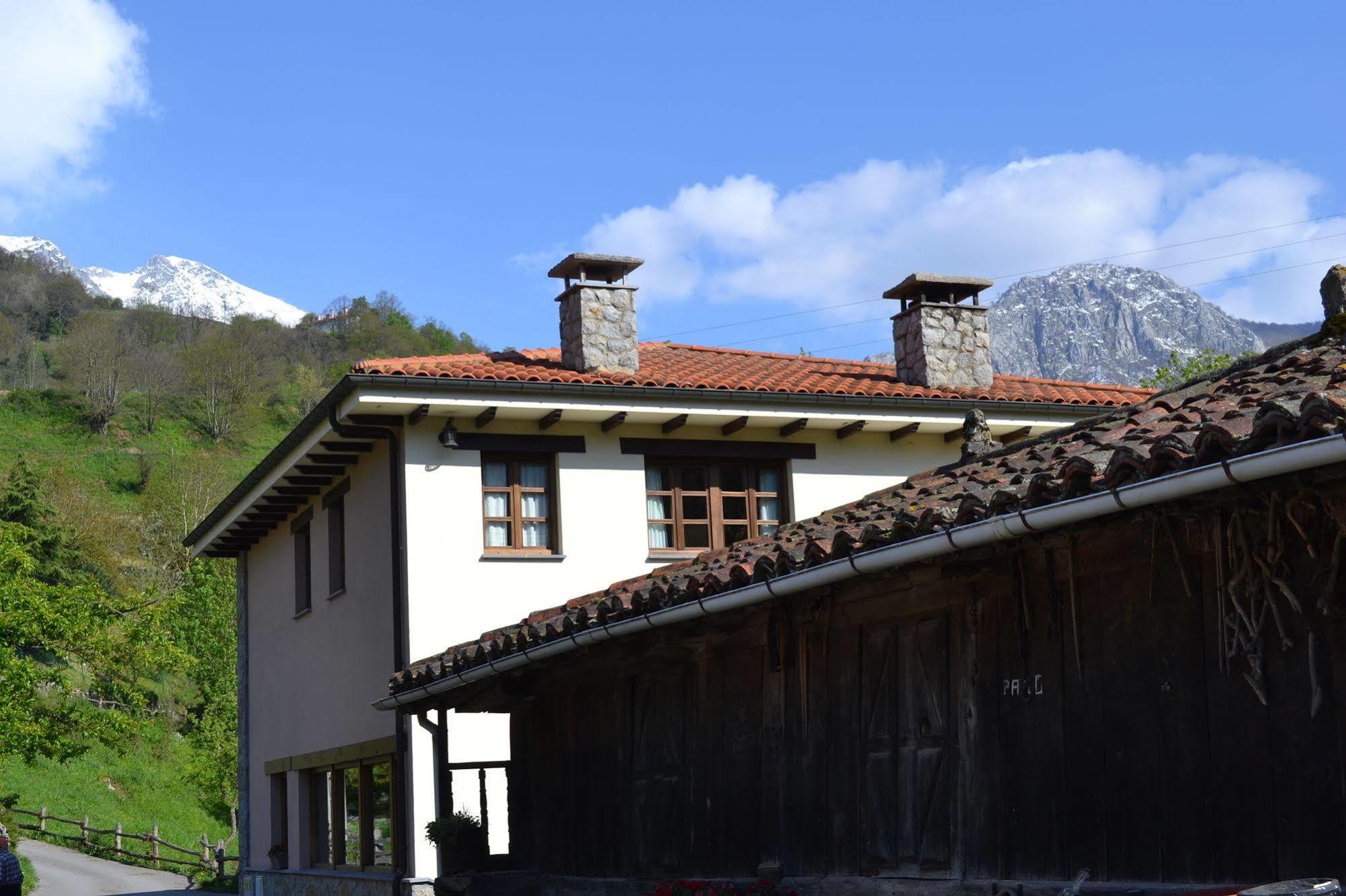 Alesga Hotel Rural - Valles Del Oso -Asturias San Salvador  Buitenkant foto