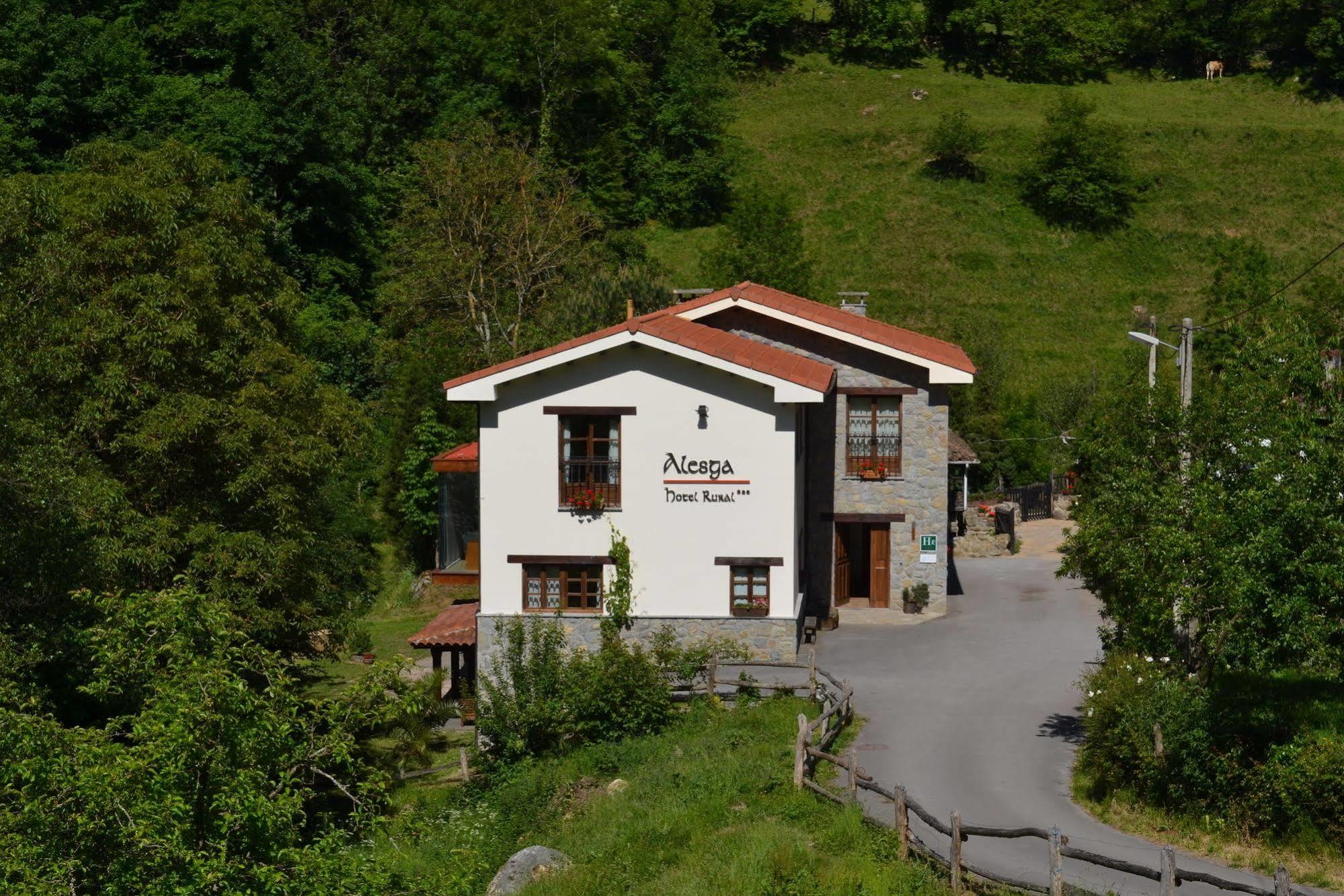 Alesga Hotel Rural - Valles Del Oso -Asturias San Salvador  Buitenkant foto
