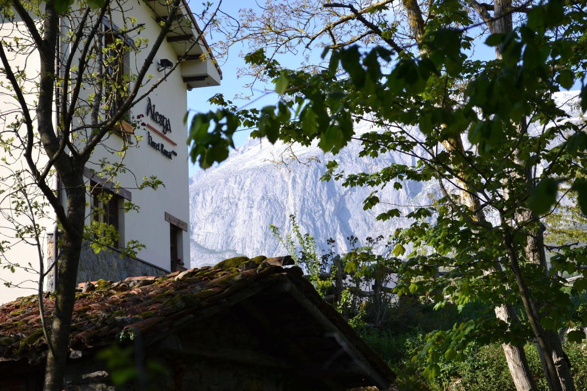 Alesga Hotel Rural - Valles Del Oso -Asturias San Salvador  Buitenkant foto